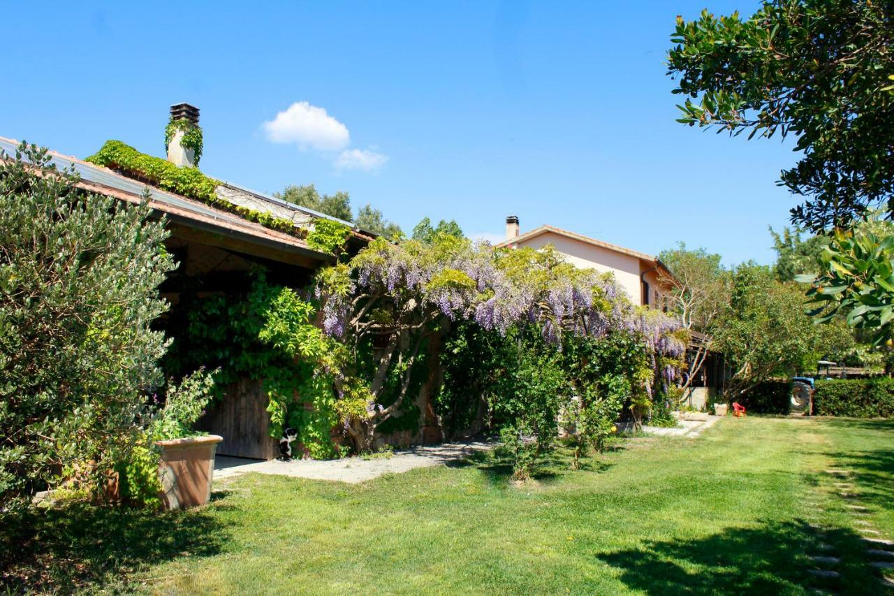 Willa Agriturist Prile Castiglione della Pescaia Zewnętrze zdjęcie